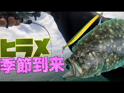【スロージギング】2日連続オフショアで釣り！1日目は茨城県久慈港から根魚狙いで4HIT！