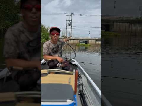 え？コレどーすんだよ…【バス釣り】 #バス釣り #ブラックバス #fishing