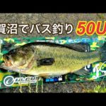 千葉県手賀沼でバス釣り　スモラバ