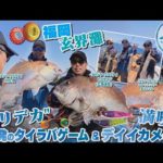 【釣り時季】限界灘”バリデカ”鯛連発のタイラバゲーム＆イカメタル満喫！