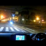 カミナリ族囲まれる！？私は夜釣りから帰るだけです！！カラスマスク２羽〇亡