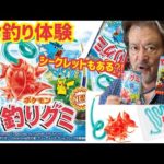 【ポケモン釣りグミ】しんやのよあそび