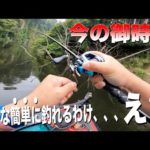 【マ？】ある釣り場がめっちゃ釣れると聞いたので調査しに行った結果。