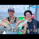 【おとな釣り倶楽部】走水のブランドアジを伝統の釣りで楽しむ