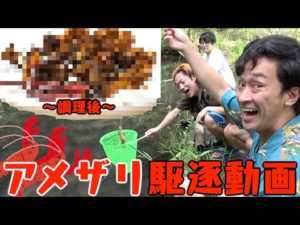 アメリカザリガニを釣りまくって食いまくって駆逐してやる！！！