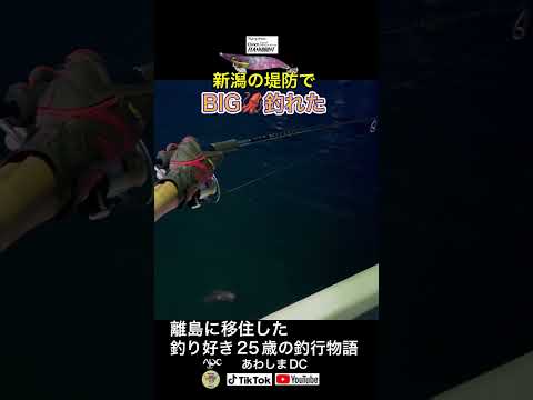 親イカエギングでBIG🦑を狙う!! #新潟釣り #fish #fishing #エギング#新潟エギング