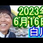 鮎釣り 15㎝高引水 クオーレ前 お茶街道 白川 2023年