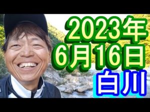 鮎釣り 15㎝高引水 クオーレ前 お茶街道 白川 2023年