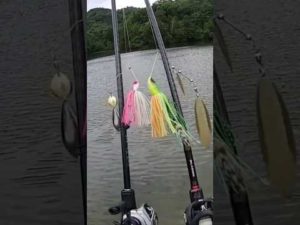 メガロドーンを通常サイズのスピナベと大きさの比較したら…違いがヤバい😅 ジャッカル