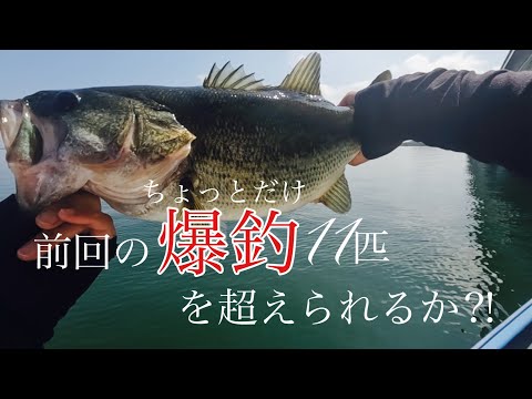 【琵琶湖バス釣り】先週はふたりで11匹‼️先週の釣果を超えられるか⁉️