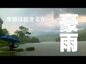 豪雨の中、奇跡は起こるのか！ 梅雨のへらぶな釣り 長野県茅野市