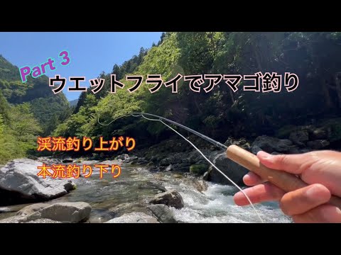 【Part３】ウエットフライでアマゴ釣り