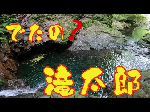 【釣り】でたの❓ 滝太郎🤩 滝だらけの渓 後編 2023渓流新規開拓