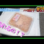 2023年【ハゼ釣り#21】7月11日‗教えていただいたエサを試してみたら☆‗釣果情報