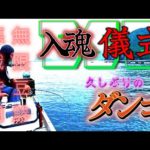【かかり釣り】久しぶりのダンゴ釣り！！エサ取りがいっぱいいる中でチヌは釣れるのか？