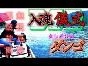 【かかり釣り】久しぶりのダンゴ釣り！！エサ取りがいっぱいいる中でチヌは釣れるのか？