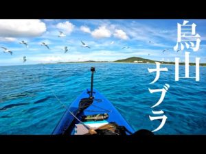 鳥ナブラの下には大物がいる…