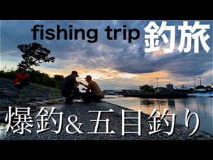 堤防から青物爆釣!?釣りを楽しみ尽くす釣旅が楽しすぎた!!!三重県編