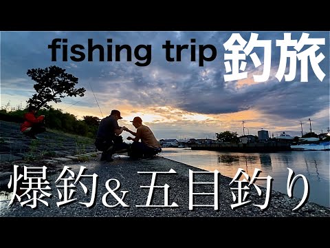 堤防から青物爆釣!?釣りを楽しみ尽くす釣旅が楽しすぎた!!!三重県編