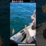 【タコ釣り】やっとリリースせずに持ち帰れたサイズ。