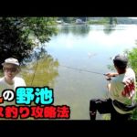 【真夏のエンジョイバス釣り勢必見】休日だけしか釣りできない人の坊主回避方法教えます！