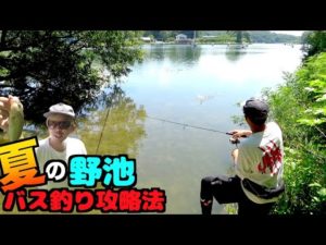 【真夏のエンジョイバス釣り勢必見】休日だけしか釣りできない人の坊主回避方法教えます！