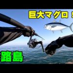 【兵庫】淡路島で青物釣り！巨大マグロを目撃した…【ショアジギング】