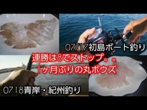 【青岸】紀州釣り(20230718)