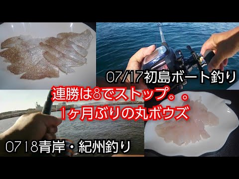 【青岸】紀州釣り(20230718)