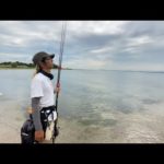 bassfiTV がライブ配信します！琵琶湖バス釣りライブR5-7/19