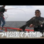 海釣り公園で大きな魚が釣れる方法 真夏のヘチ釣り