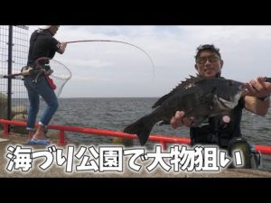 海釣り公園で大きな魚が釣れる方法 真夏のヘチ釣り