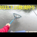 【管釣り】放流狩り！！（2023.7.15）