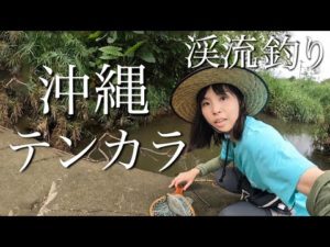 沖縄で渓流釣り！？テンカラで狙うあの魚【沖縄釣り旅①】