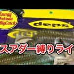 琵琶湖バス釣りライブ。デスアダー6インチ（ノーシンカー）縛り釣行