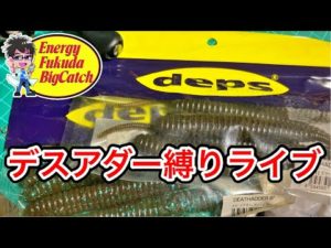 琵琶湖バス釣りライブ。デスアダー6インチ（ノーシンカー）縛り釣行