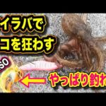 ◆タコ釣りで試してください【タイラバでタコを狂わせ連発！ 】タコが沸いていない？ ＜オカッパリのタコ釣り＞
