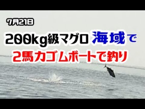 【北海道 釣り】7月21日　２００kg級のクロマグロ海域で　2馬力ゴムボートで釣りしてみたら　とんでもないことが