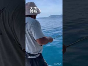 #情熱大陸　#fishing #愛媛 #釣り #宇和島 #綱丸 #ロックフィッシュ #スロージギング