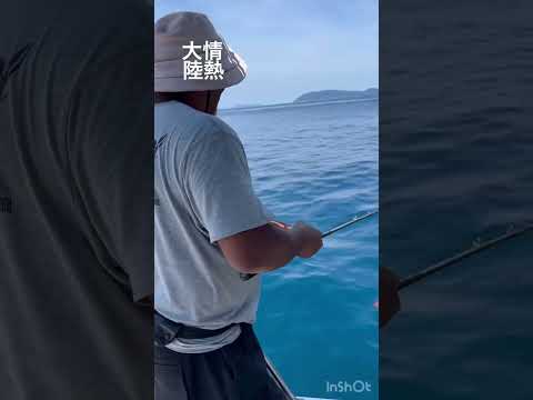 #情熱大陸　#fishing #愛媛 #釣り #宇和島 #綱丸 #ロックフィッシュ #スロージギング