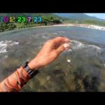 鮎釣り日記23 7 23