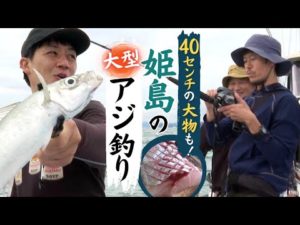 40センチ超のアジ続々! 海釣り好きにはたまらない 福岡県糸島市沖の玄界灘