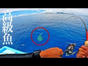 深場の高級魚を釣って食う【初魚種】