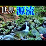 源流釣りってこんなにヤバかったっけ…⁉