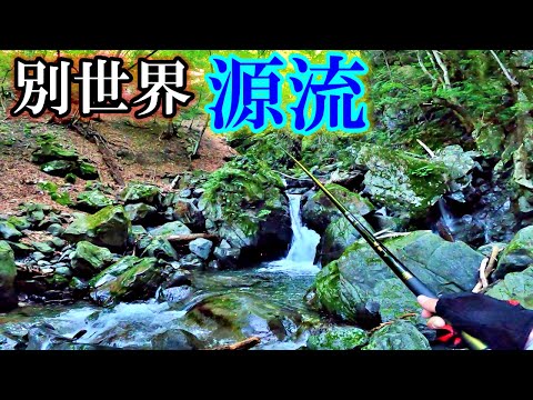 源流釣りってこんなにヤバかったっけ…⁉