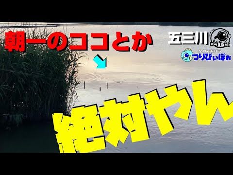 【五三川 バス釣り】苦しい戦いになった時も結果を出して帰りたい。