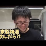 自家製梅酒を飲んだら?!