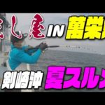 剣崎沖 夏 スルメイカ釣り！IN萬栄丸　スルメイカ釣り 朝一はチェリーもあり厳しい中でもポチポ釣れました～