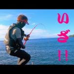 【石鯛釣り】東伊豆の人気地磯でノッコミ石鯛最終便を狙う!!（90）