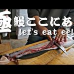 鰻釣り師の「雪ノ下鰻」天然のうなぎを捌いて喰らう！let's eat eel